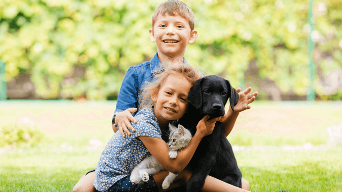 Fostering Sibling Relationships: Building Strong Bonds among Brothers and Sisters